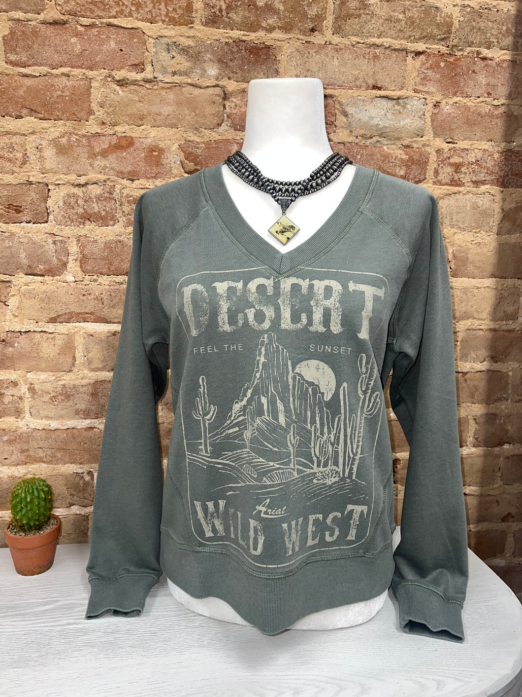 Desert Wild West Sweatshirt