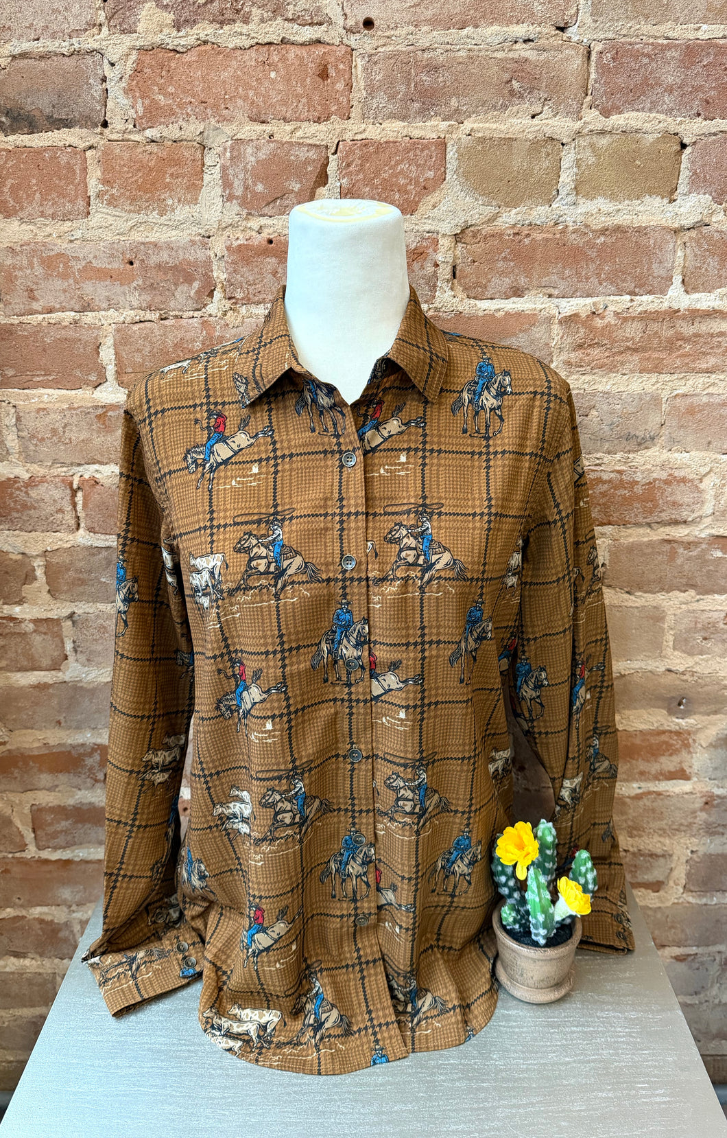 Ariat Homestyle LS Shirt
